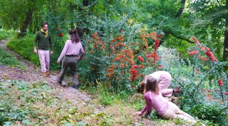 Dlaczego ślimaki wchodzą na drzewa?