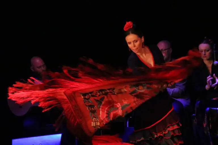 Tancerka famenco w granatowo-niebiesko-czerwonej sukni z wirującym czerwonym mantonem i czerwoną różą we włosach.